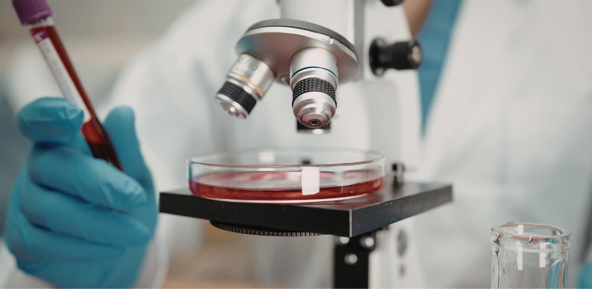 Lab Services & Diagnostic Testing